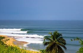 Cotton Tree break guide