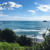 Muriwai Beach