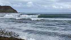 Makara delivers photo
