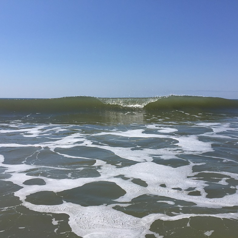 Isle of Palms Pier surf break