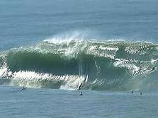 Ilha fechada para jet ski, Ilha dos Lobos