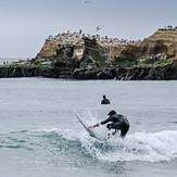 Cove Beach, Año Nuevo State Park, Laguna Creek