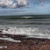 Kamikaze Reef, Port Waikato-The Reef