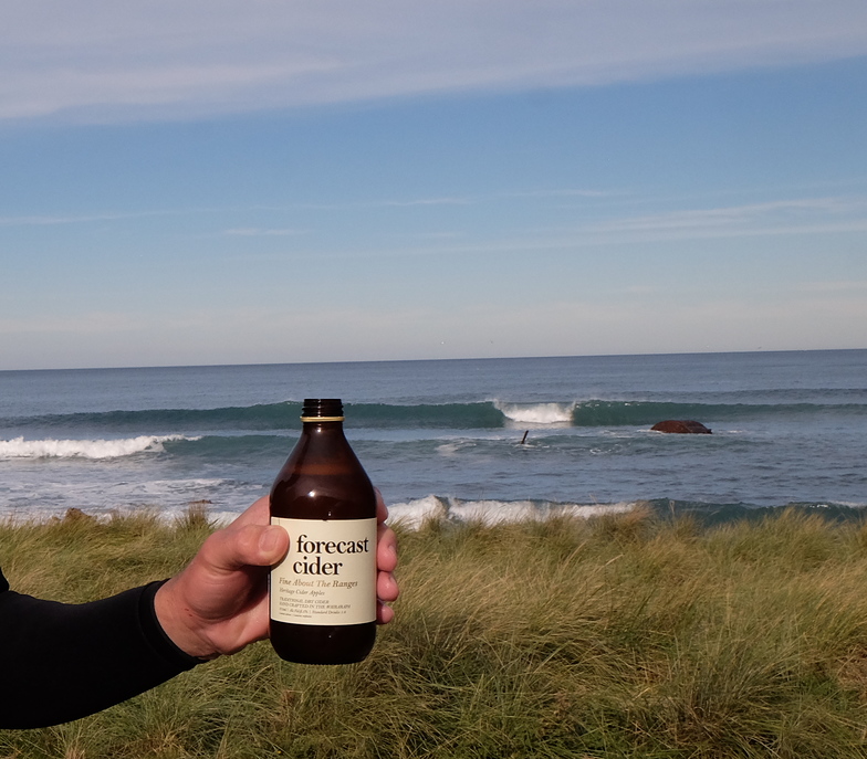 Forecast Cider at Shipwreck, Tora-Shipwreck