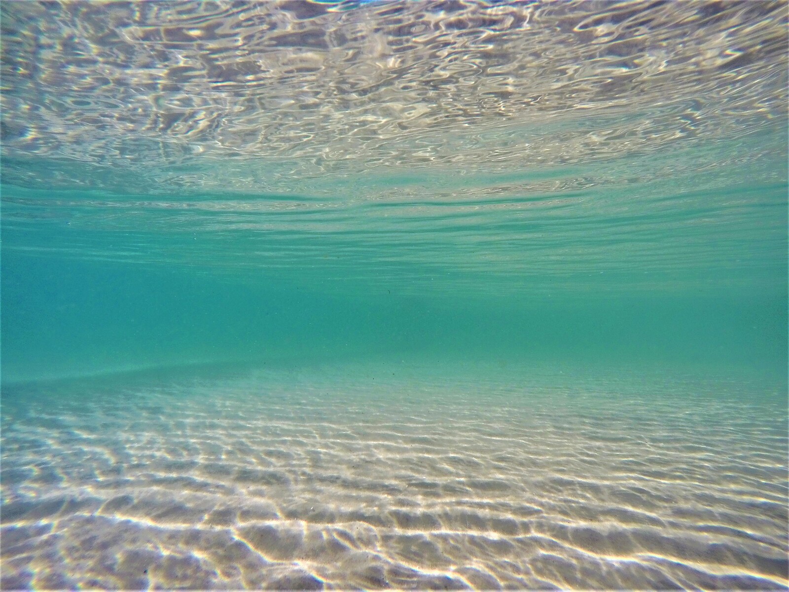crystal clear, Alexandra Headland