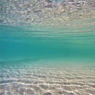 crystal clear, Alexandra Headland