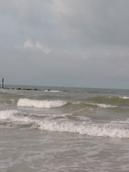 Honeymoon Island Tide Chart