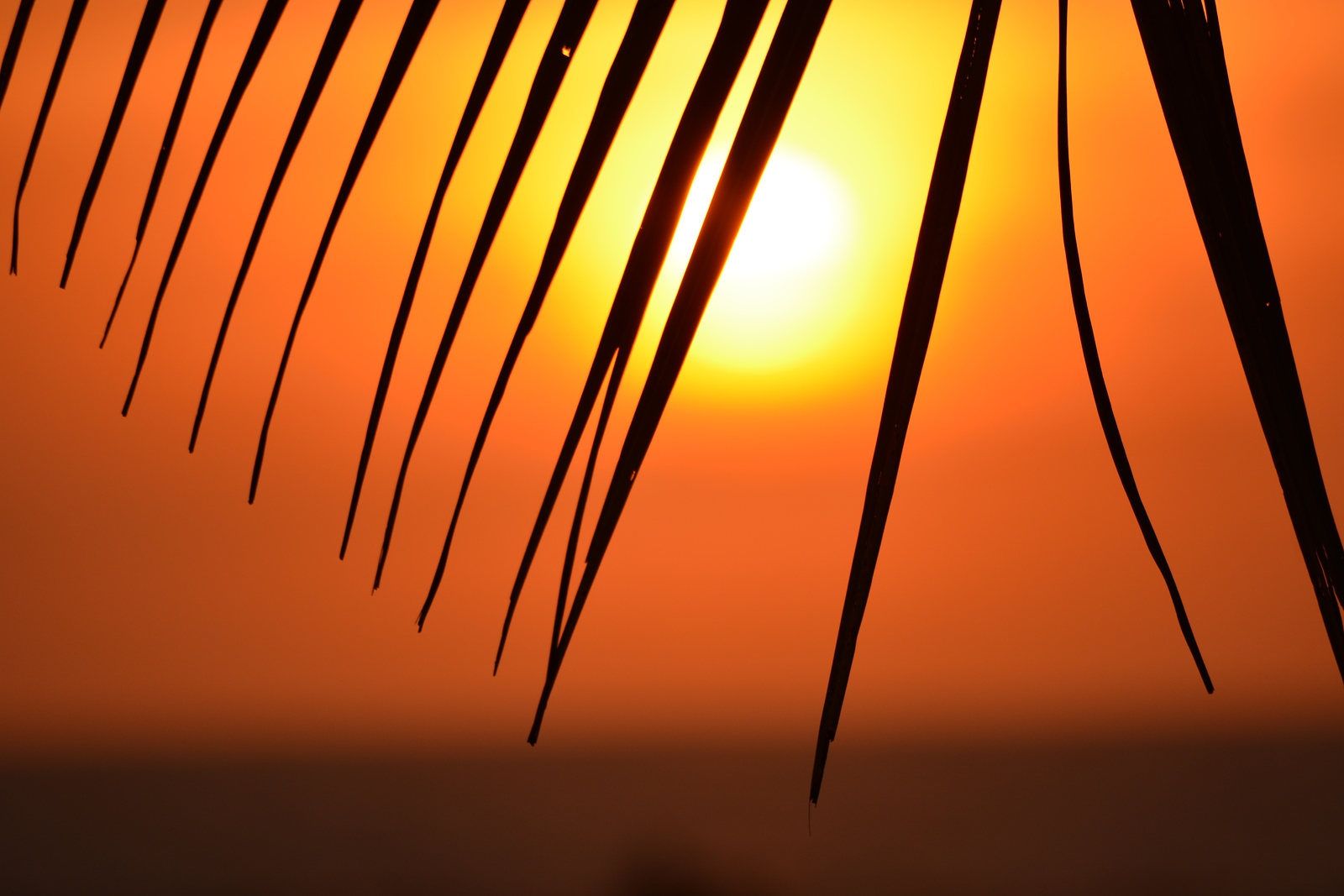 Beautiful sunset in Tamarindo