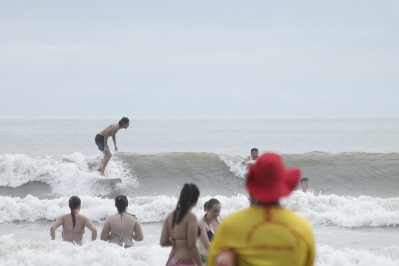 Merrecas em Meia Praia, Itapema - Meia Praia