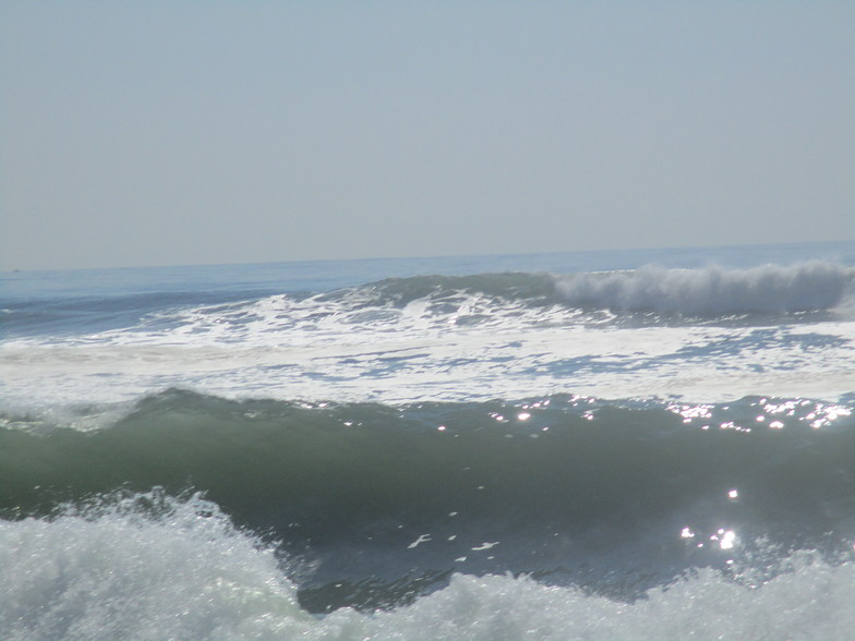 ROBERT MOSES, Robert Moses State Park