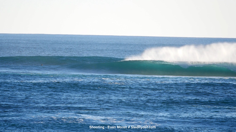 Lancelin bombie smoking