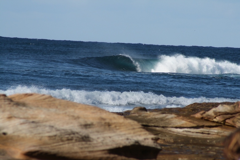 Patch at Cronulla