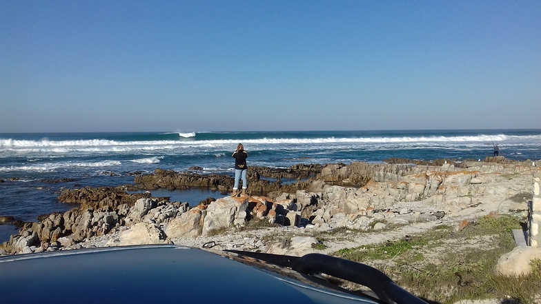 Struisbaai surf break