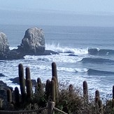 Punta de Lobos