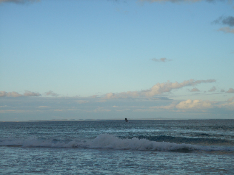 Augusta Rivermouth surf break