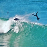 Wild Ride at Tamma!, Tamarama Reef