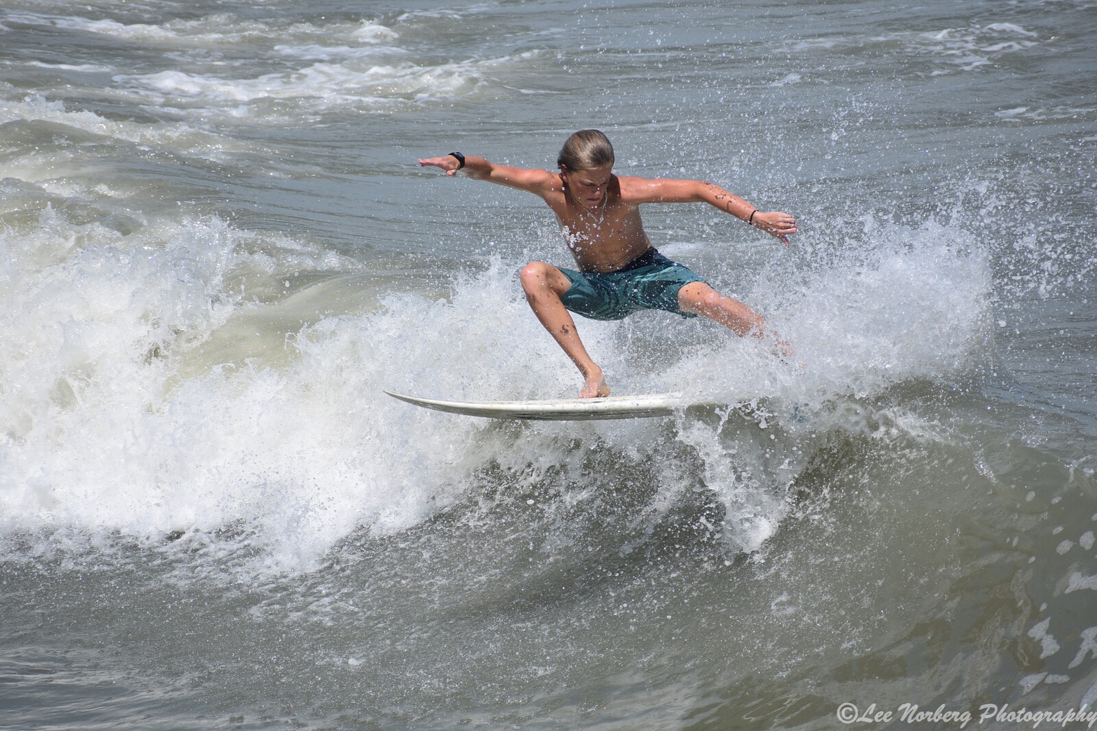"Classic Form", Garden City Pier