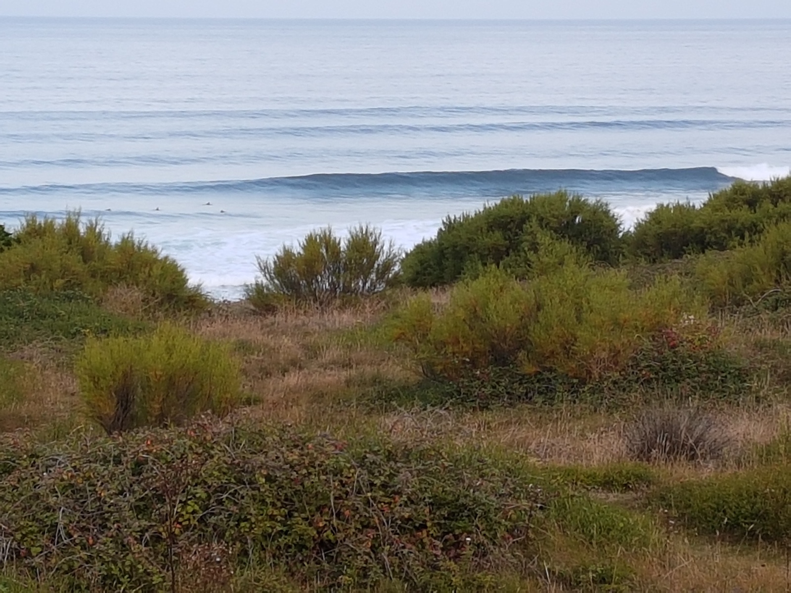 A good morning wake up., La Palue