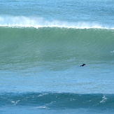 West Coast Paddle Out, Anatori River