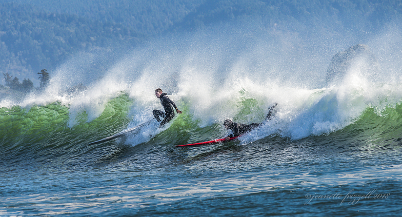 Gorgeous Waves Today, Garths Reef