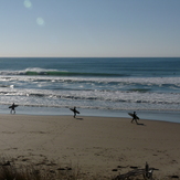 Chalet, Wainui Beach - Pines