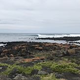 Port fairy surf, Port Fairy (East Beach)