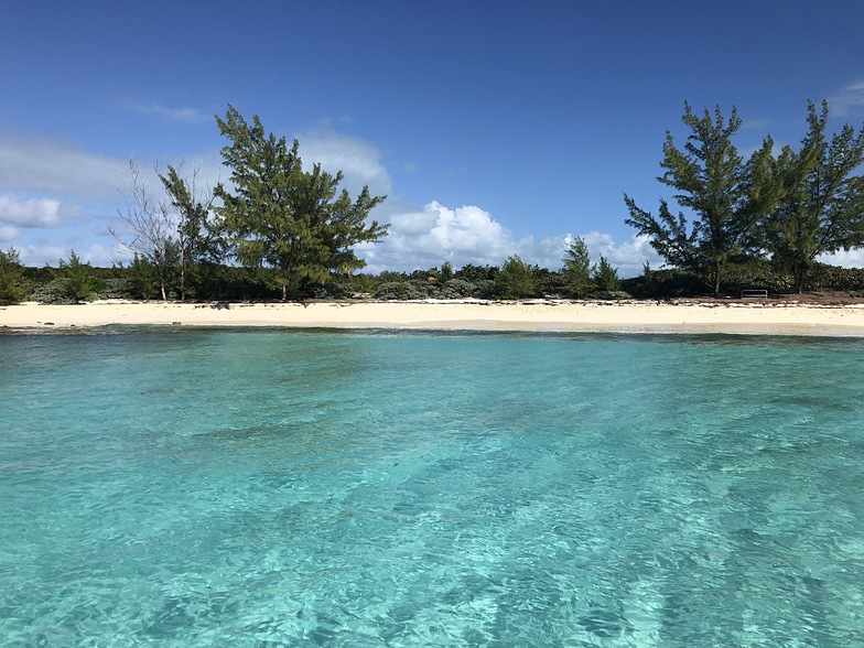 Egg Island surf break