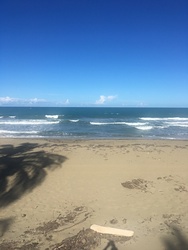 My backyard off Camino del sol., Cabarete photo