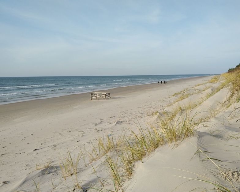 Palanga surf break