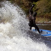 Lookin' down the wave, Jordan River