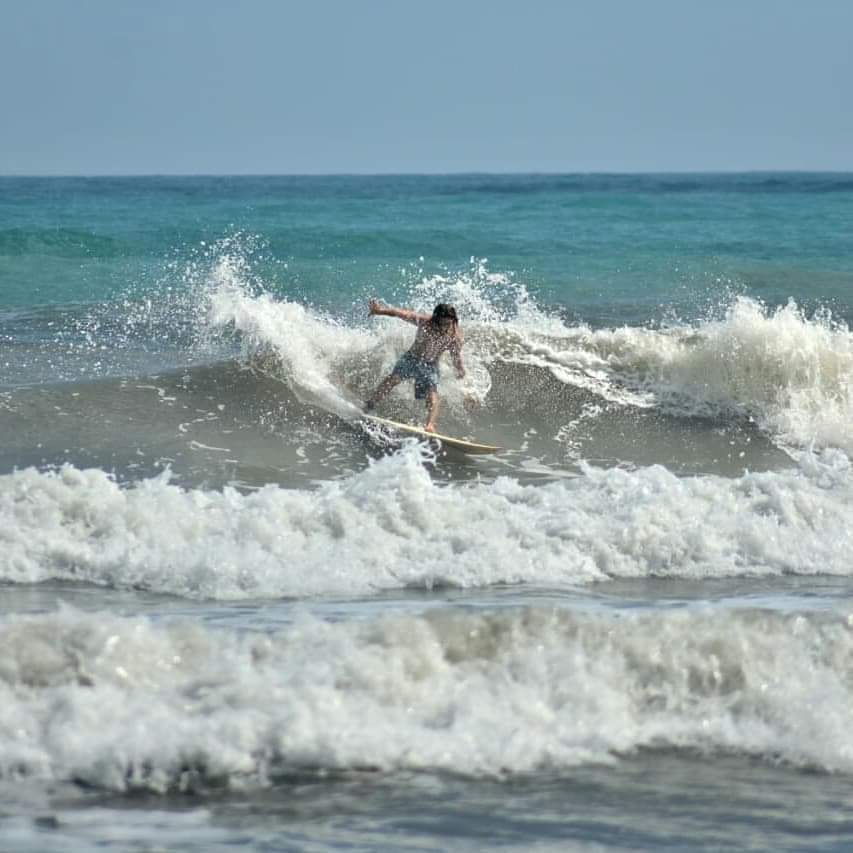 Surf.Palomino