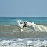 Surf.Palomino