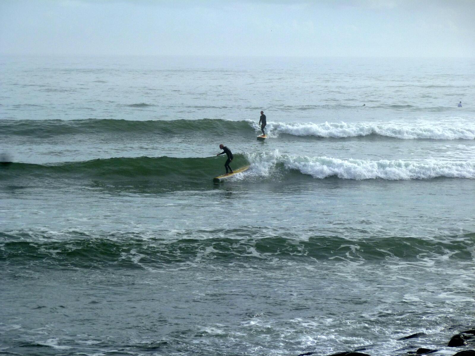 Loggin @ Crescent Head NSW