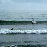 longboarding Crescent Head NSW