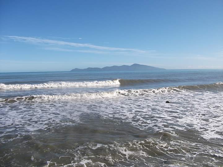 Paekakariki surf break