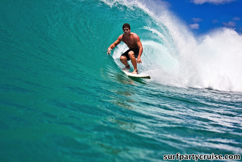 HAWAII CLASSICS // SURFPARTYCRUISE.COM