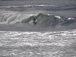 Fullers photo