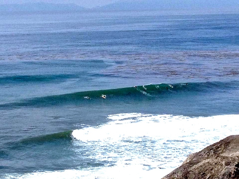 TC's reef break San Pedro, CA, TCs