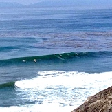 TC's reef break San Pedro, CA, TCs