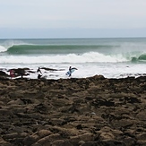 Raglan Rock Jumps, Raglan-Whale Bay