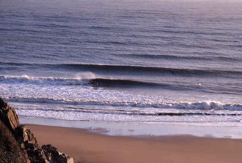Fall Bay Shorey