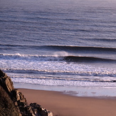 Fall Bay Shorey