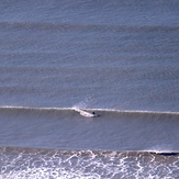 Rob McDonald, a founder of of surf-forecast.com, ground truths the forecast., Llangennith