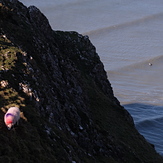 Offshore with occasional Sheep, Rhossili