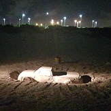 makin castles, Leighton Beach