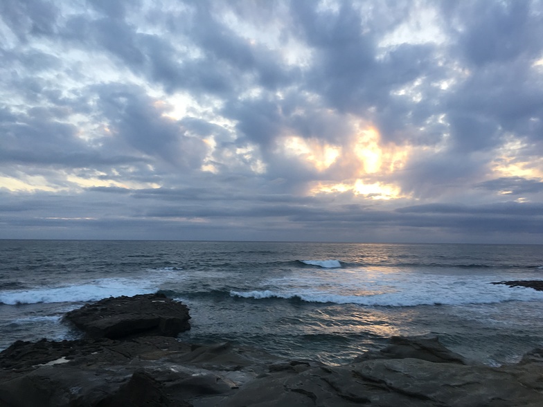Hogans surf break