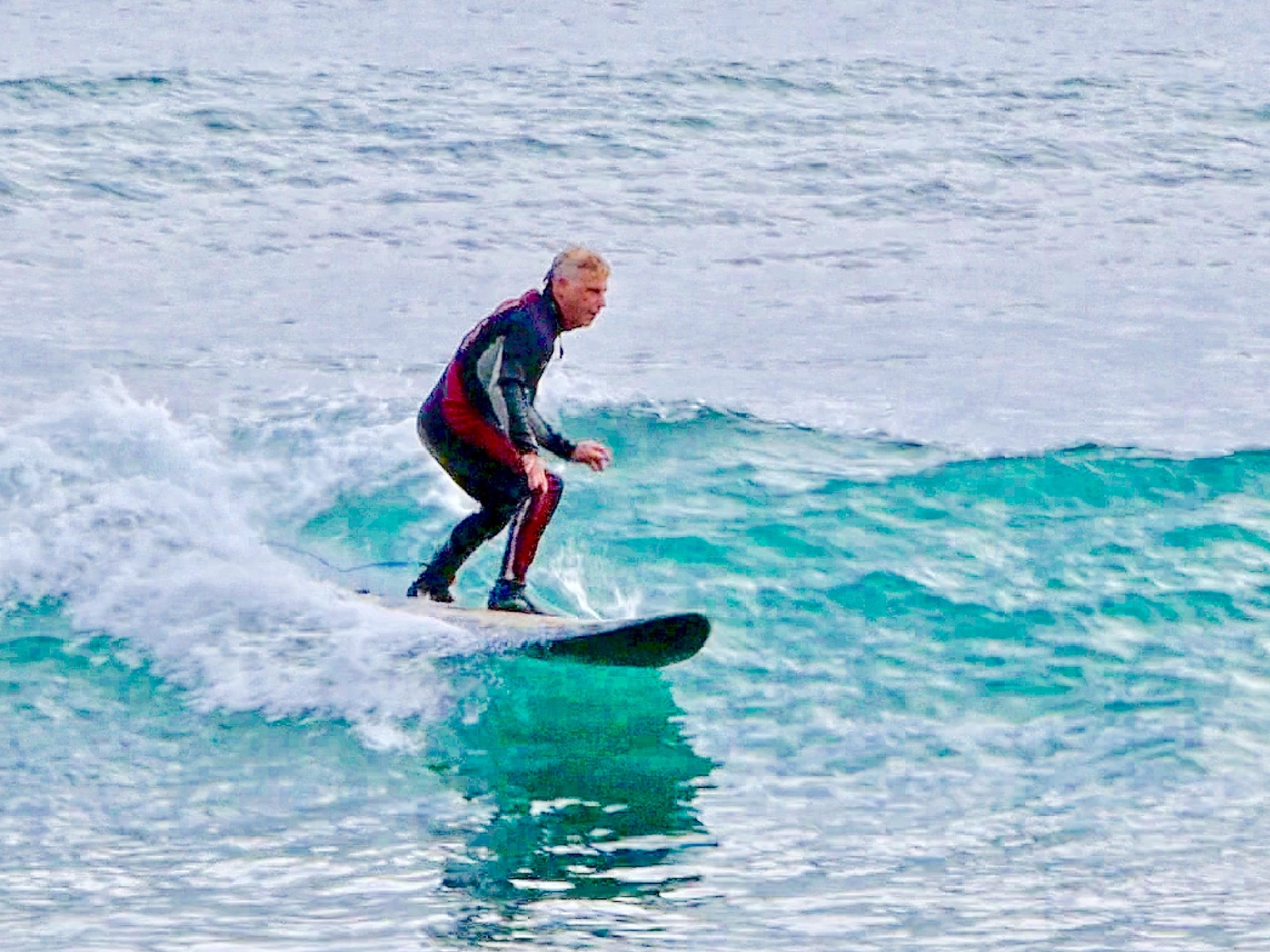Banks Peninsula - Te Oka Bay