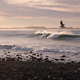 Early morning, Kahutara