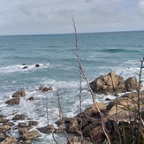 Pumping, Dunedin - Bobs Beach