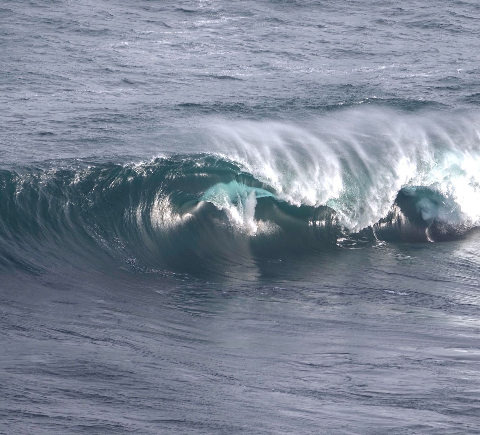 Shipstern Bluff 6/6/2019
